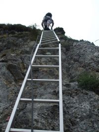 via-ferrata-gantrisch_3.jpg
